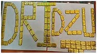 DRI Busts International Gold Smuggling Racket; Seizes ₹40 Crore Gold, ₹2.9 Crore Cash
