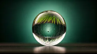 Unlock Timeless Skin: 5 Essential Habits for a Youthful Glow