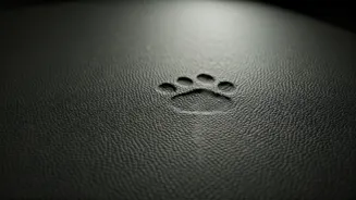 Protect Furniture With Scratch-Resistant Vegan Leather Pet Sofa Covers