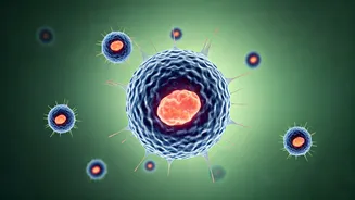 Longevity: Building a Long Life Through Daily Nutritional Choices