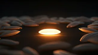 India's Protein-Rich, Low-GI Rice: A Diabetes-Friendly Revolution