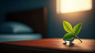 Unlock Your Inner Voice: 7 Empowering 5 AM Affirmations for Self-Connection