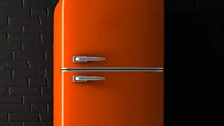 Clear Decisions On Shelf Rules Help Organise A Shared-Fridge Agreement
