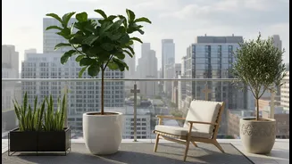 A Productive Balcony Does Not Need To Look Like A Nursery