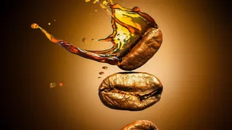 The Same Coffee Bean Can Create Different LDL Implications after Brewing