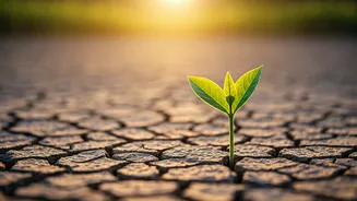 Finding Your Sweet Spot: Why 'Me Time' Fuels True Productivity and Well-being