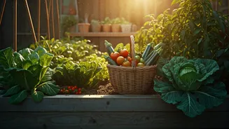 Cultivate Your Dream Vegetable Garden: Design Tips for Any Space