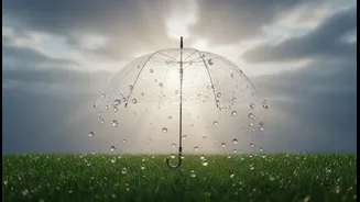 Why Indian Skincare Users and Monsoon Commuters Need Better Guidance on UV Exposure
