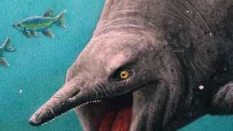 What The 454-Million-Year-Old Discovery Actually Shows: What To Know