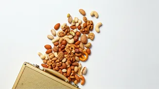 Union Budget 2026: The Nuts and Nibbles Story