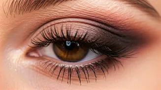 Related Stories banner