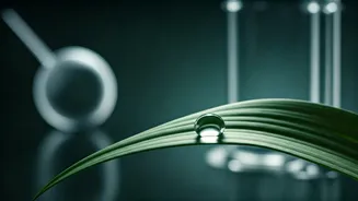 Dermatologist's Top 8 Skincare Blunders to Avoid for Radiant Skin