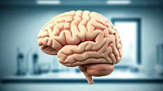 Preventing Dementia: Lifestyle Choices for Brain Health