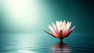 Related Stories banner