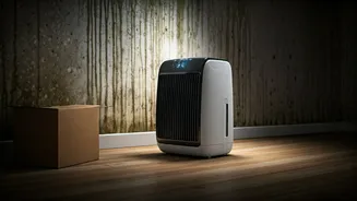 Cosy Corners Need Dehumidifier-Level Discipline Too