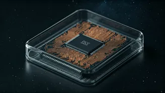 Quantum Leap: Advancing Dark Matter Detection