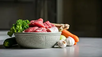 The Raw Food Movement: What Indian Pet Parents Need Know