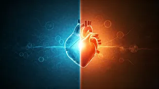 Unveiling Hypertension Risks: Factors You Can Control and Those You Can't