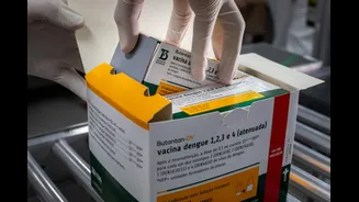 Tomou a vacina contra a dengue do Butantan? Saiba o que fazer