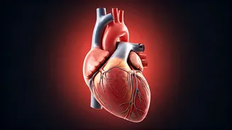 Heart Health: Hidden Signals & Risks You Shouldn't Ignore