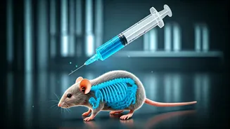 Super Vaccine: Hope for Cancer Treatment