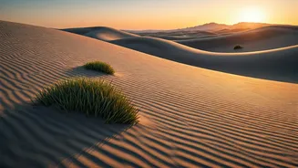Nature Lovers Map Spectacular Journeys To Southwest Sand Valleys