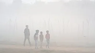 MP News: NGT Flags 8 MP Cities For Chronic Air Pollution