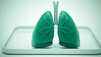 Eat These 7 Foods To Protect Your Lungs
