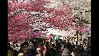 Related Stories banner