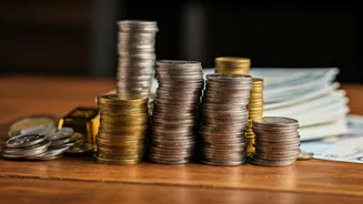 Navigating the Indian Stock Market: Insights and Opportunities