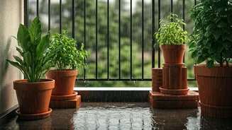 Protect Apartment Balcony Garden From Heavy July Downpours