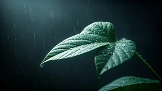 Monsoon Heat And Humidity Can Still Drain Your Body