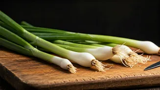 Spring Onion Delights: 10 Must-Try Dishes