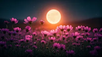 April's Enchanting Pink Moon: Timing, Origins, and What to Expect