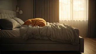 Related Stories banner