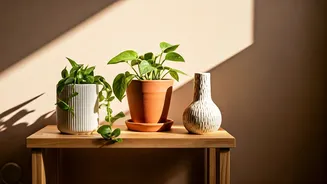 How To Style Rented Flats Using Sustainable Clay Decor