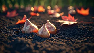 Mastering Tulip Planting: The Perfect Autumn Timing for Spring Blooms