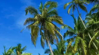 Why Remote Workers Are Choosing Varkala And Gokarna For Affordable Workation Stays