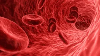 AIIMS Bhopal doctors warn of hidden sleep and heart issues in children with sickle cell disease