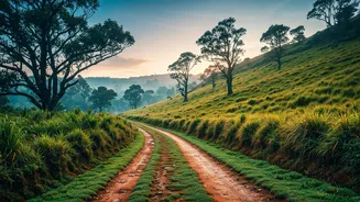 Coorg Mists Are Calling All Off Grid Backpackers
