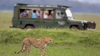 From Planning To Packing: A First-Timer’s Guide To The African Safari Experience