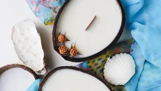 Coconut-Shell Gardens Need Fewer Pieces and Clear Placement