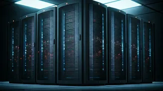 IT Sector Soars: Decoding the Market Rally