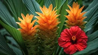 Turmeric and Hibiscus Take Over Monsoon Garden Spaces Now