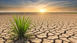 Delhi, UP, Bihar, Kerala Need Rain Checks