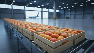 Karnataka's Export Push Connects Late Harvests With Faster Logistics