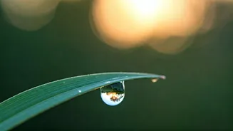 Related Stories banner