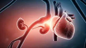 Beyond Blood Sugar: The Hidden Domino Effect of Chronic Illness on Heart & Kidneys