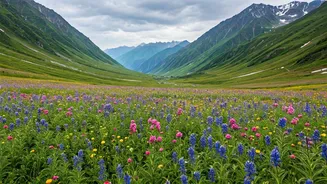 Trekkers Head To Uttarakhand As Valley Of Flowers Blooms