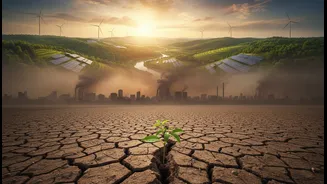 A Reader Guide to State of India's Environment 2026, Risks and Next Steps